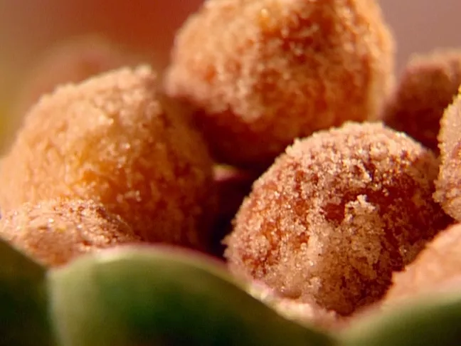 Orange sugar fried donut holes Recipe | Food Network UK