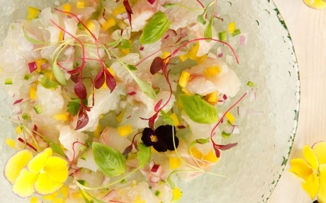 TabascoÂ® Jalapeno Sea Bass Ceviche Recipe | Food Network UK