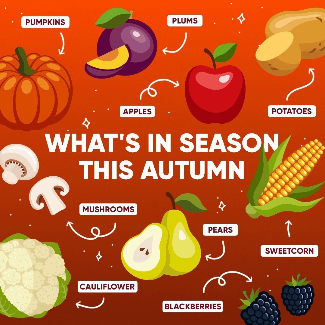 vegetables in season in autumn
