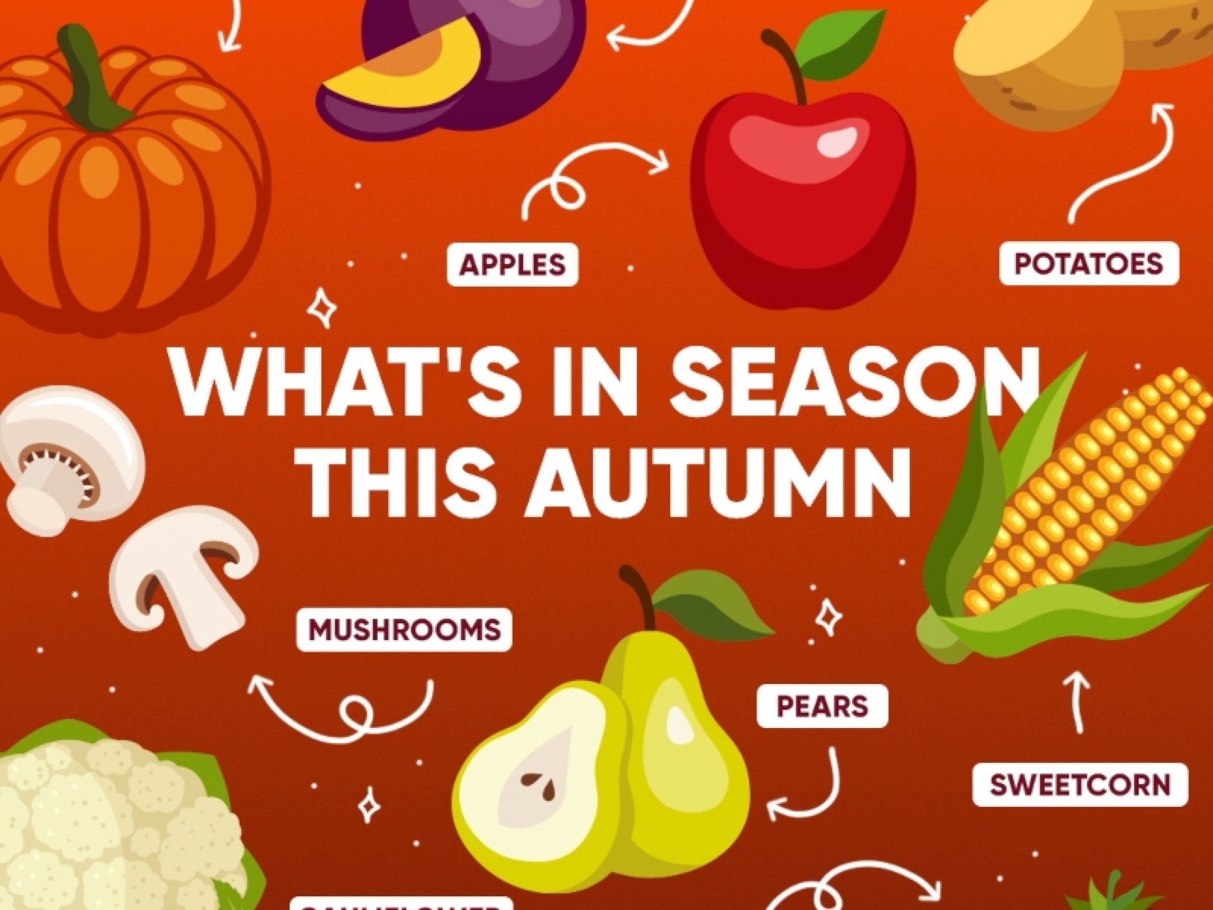 vegetables in season in autumn