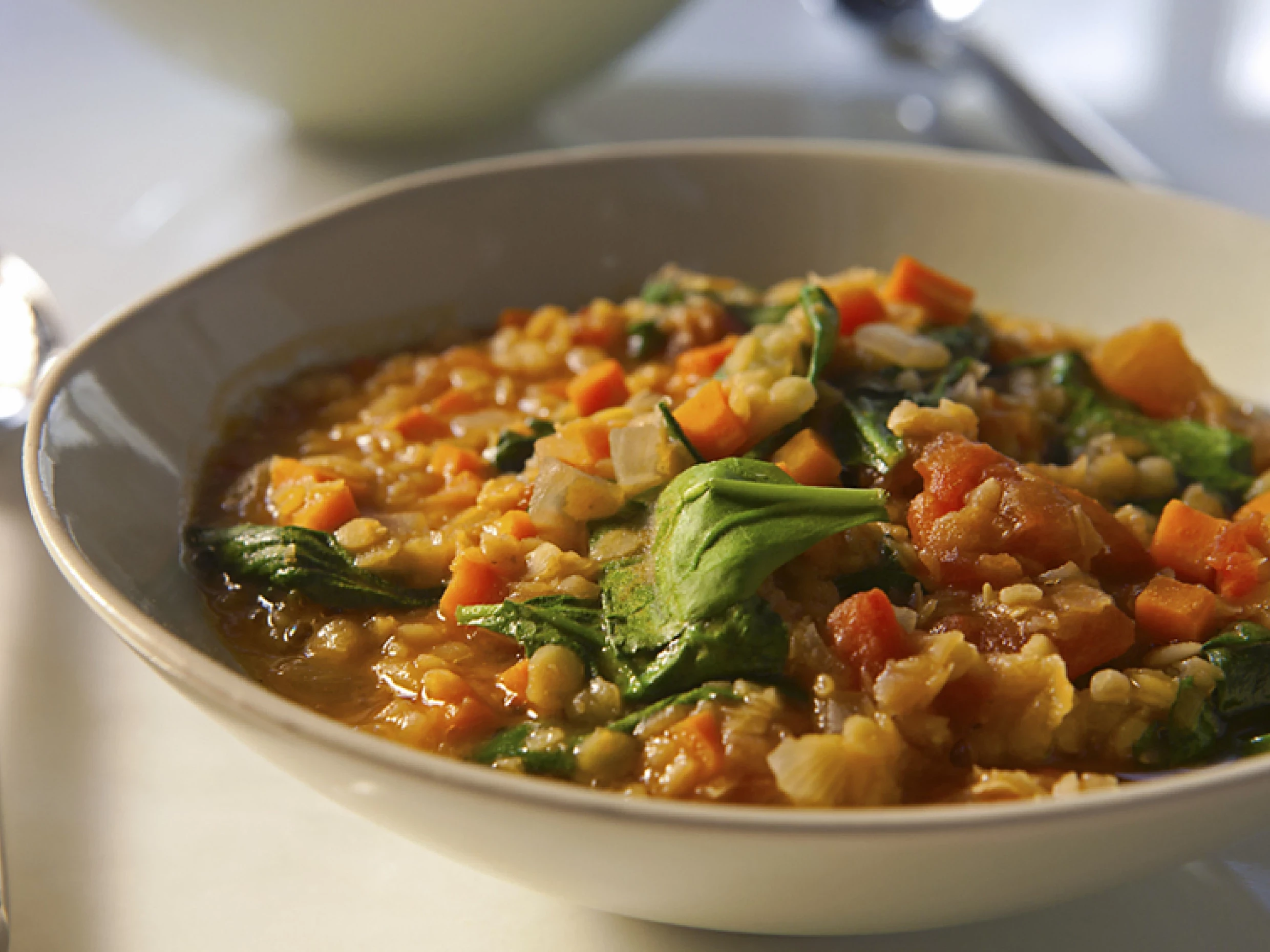 lentil vegetable soup