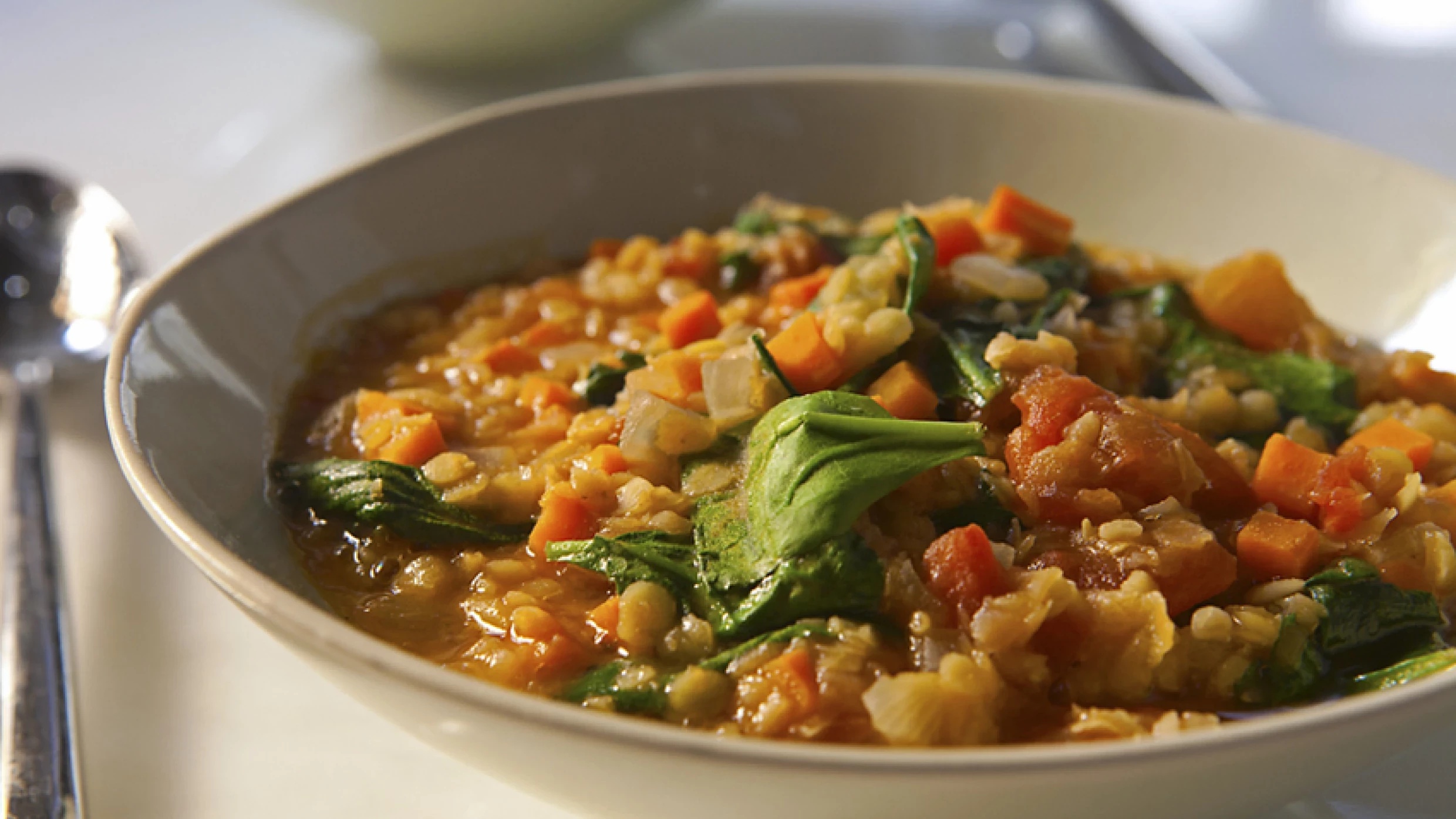 lentil vegetable soup