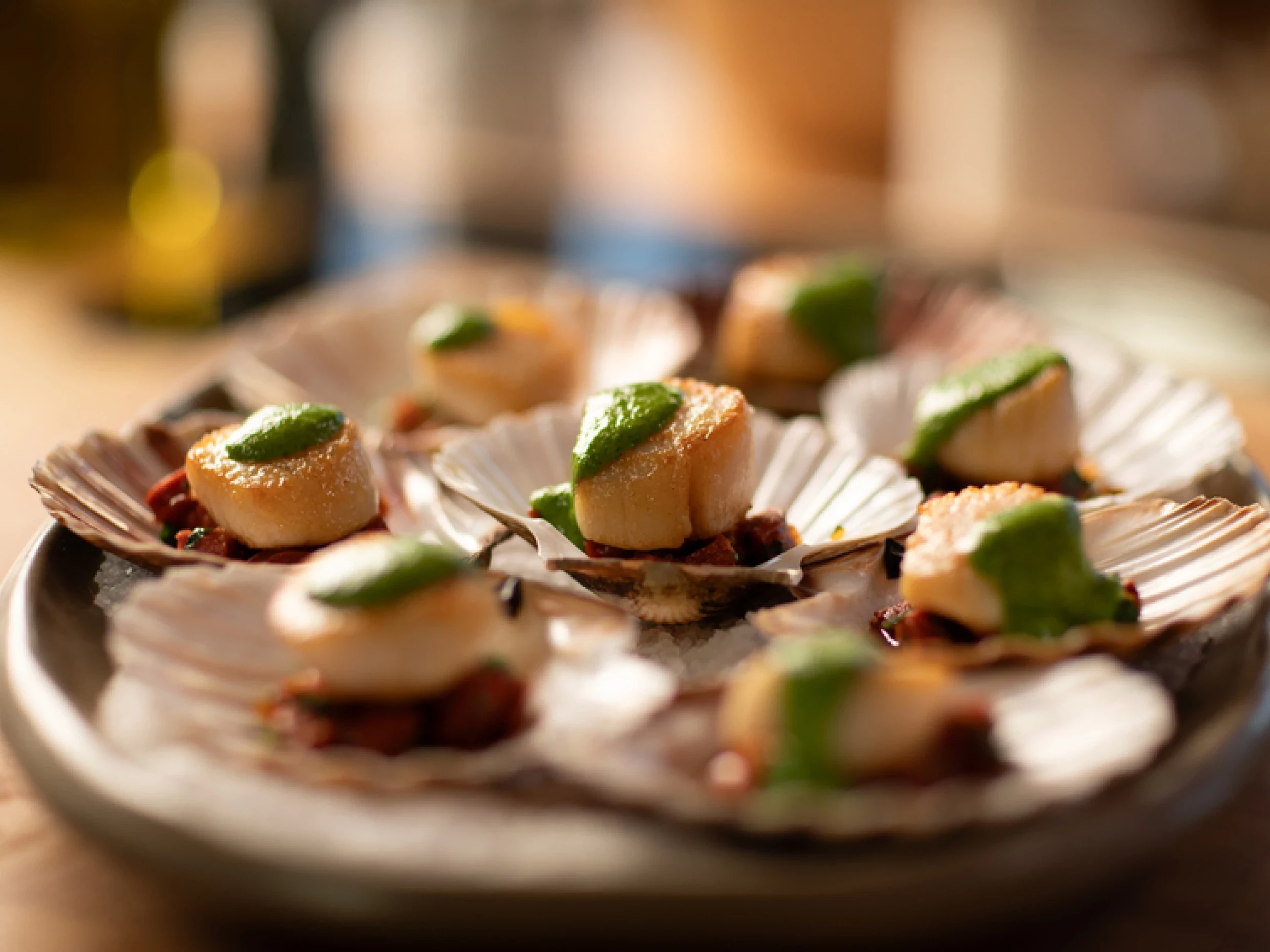 Scallops held in shells with a dash of chorizo and green sauce