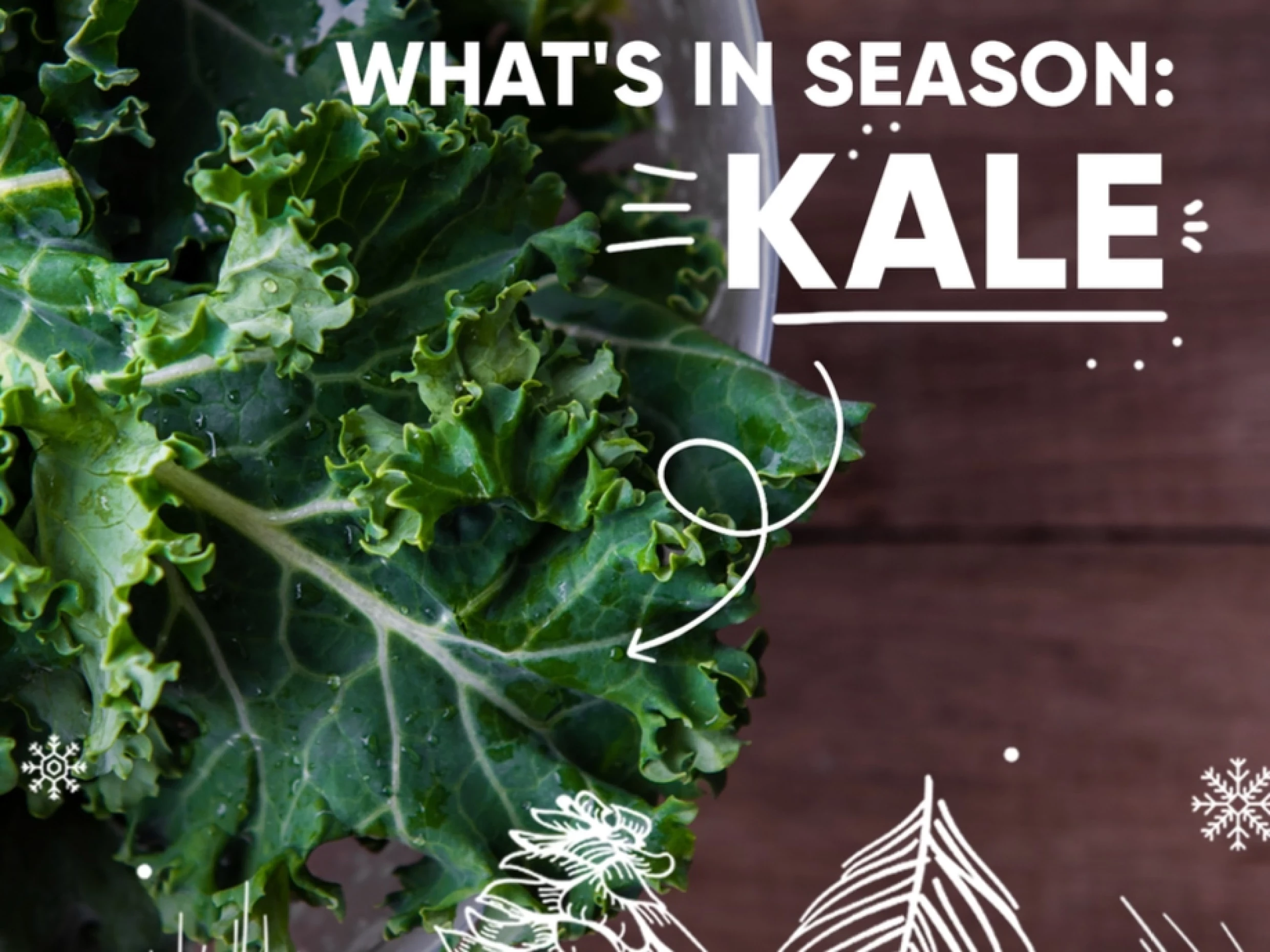 kale recipes
