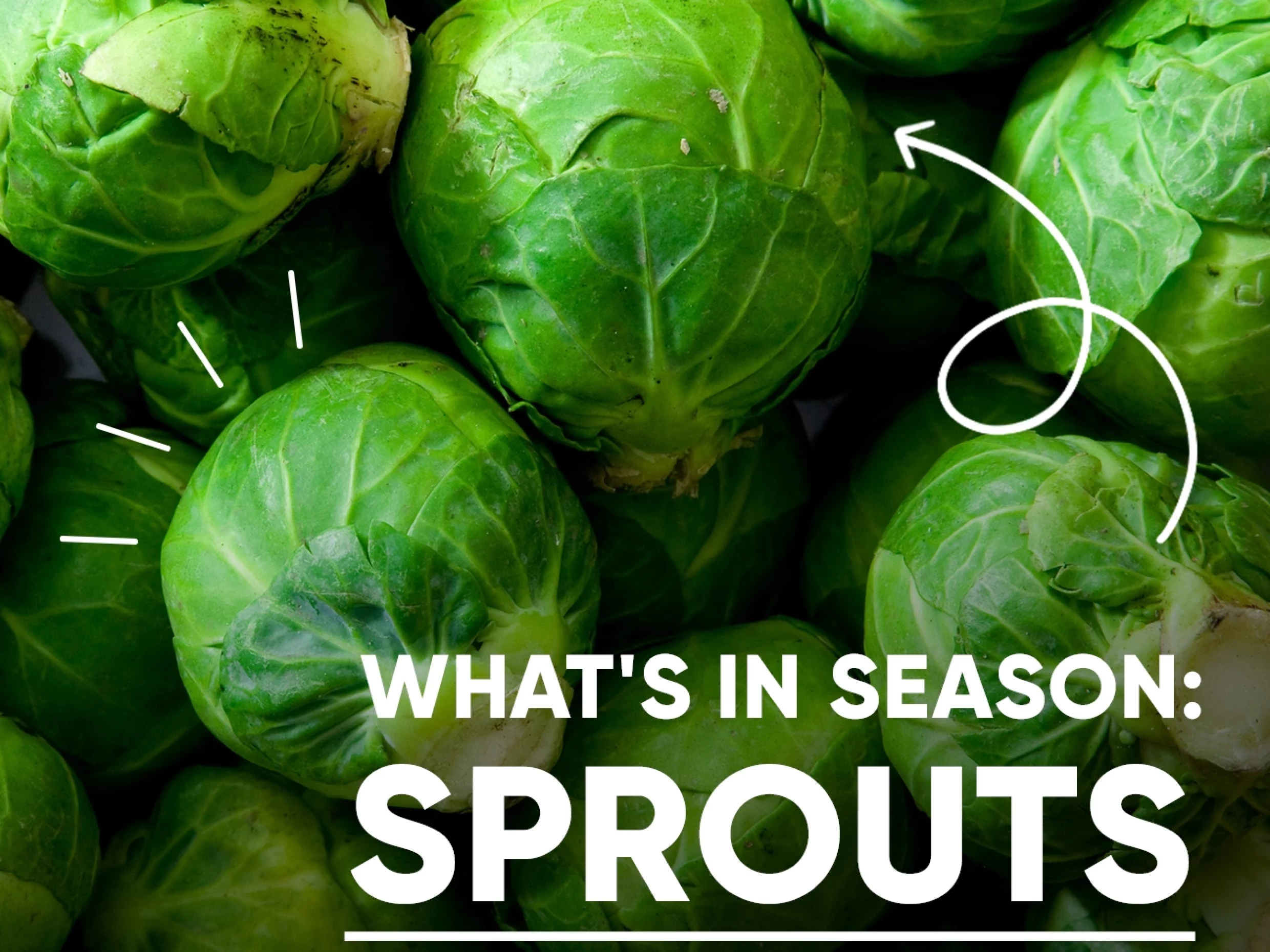 winter brussels sprouts recipe