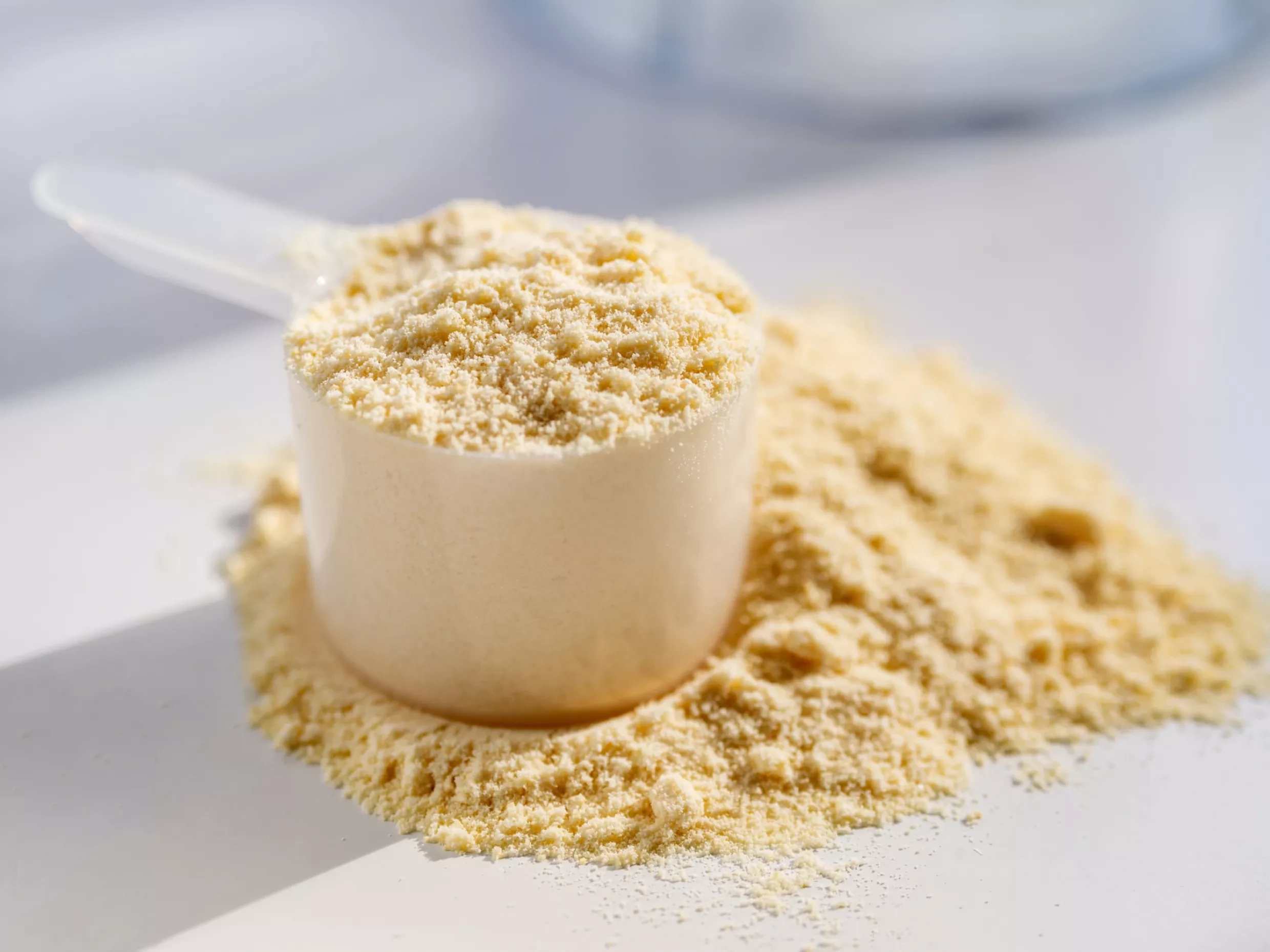 potato protein supplier potato protein supplier